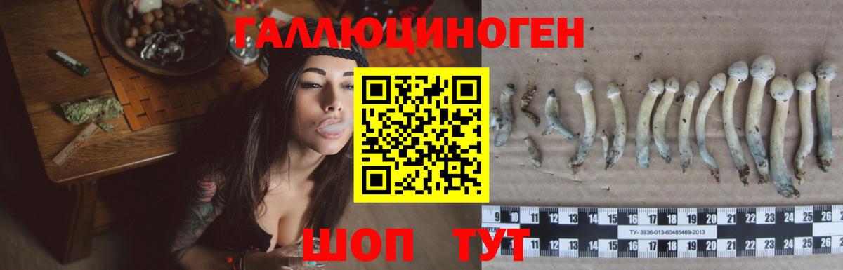 Королёв  Псилоцибиновые грибы мицелий  Вход с VPN  Галлюциногенные грибы ЛСД 